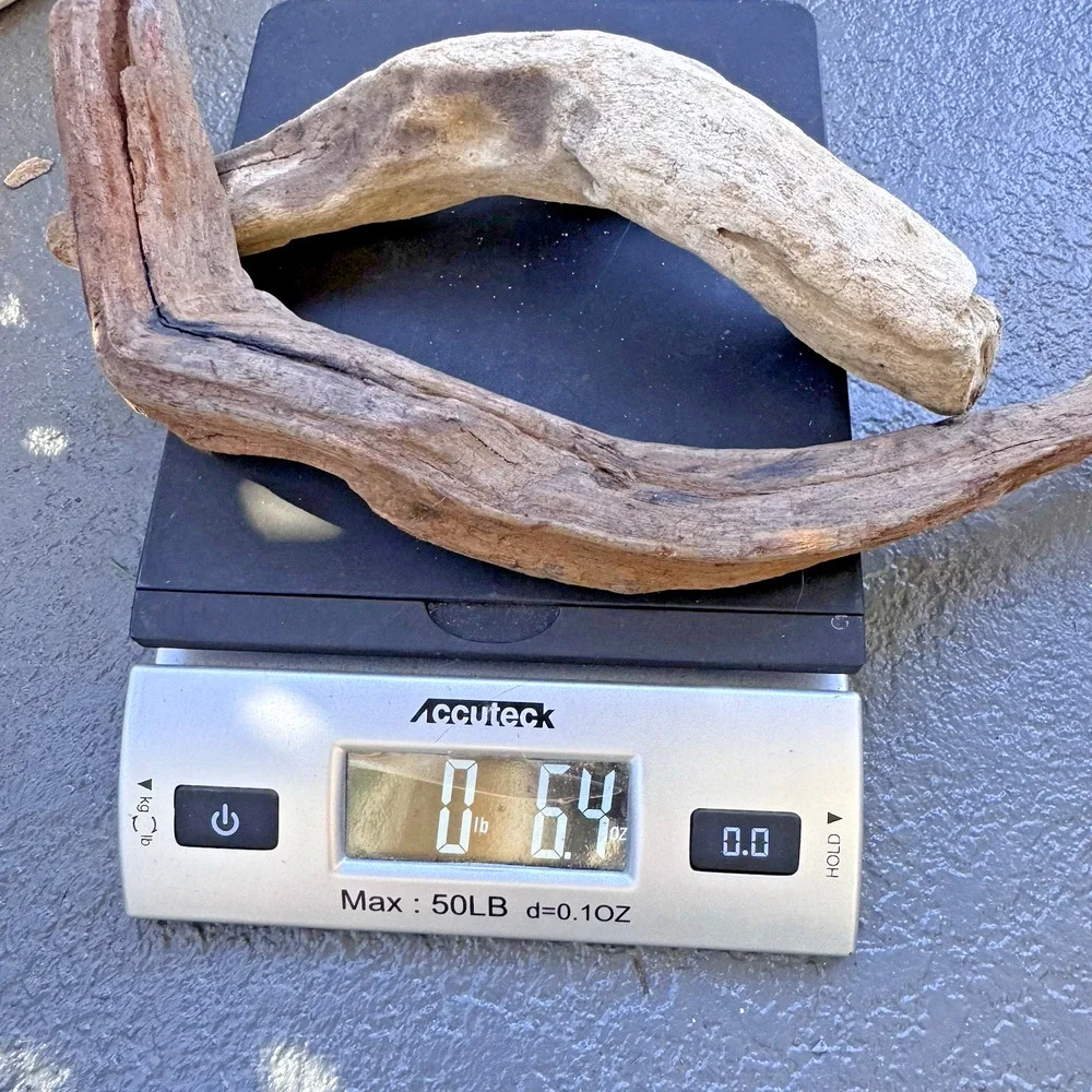 2 Natural Driftwood Branches California Coast Rustic Decor Aquarium Terrarium
